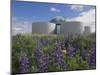 Wild Purple Lupins Surrounding the Pearl (Perlan) Oskjulid Dome, Reykjavik, Iceland, Polar Regions-Neale Clarke-Mounted Photographic Print