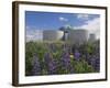 Wild Purple Lupins Surrounding the Pearl (Perlan) Oskjulid Dome, Reykjavik, Iceland, Polar Regions-Neale Clarke-Framed Photographic Print