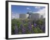 Wild Purple Lupins Surrounding the Pearl (Perlan) Oskjulid Dome, Reykjavik, Iceland, Polar Regions-Neale Clarke-Framed Photographic Print