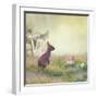 Wild Rabbit Standing Up in the Grass-Svetlana Foote-Framed Photographic Print