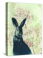 Wild Rabbit-Trudy Rice-Stretched Canvas