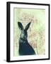 Wild Rabbit-Trudy Rice-Framed Art Print