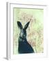 Wild Rabbit-Trudy Rice-Framed Art Print