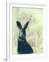 Wild Rabbit-Trudy Rice-Framed Art Print