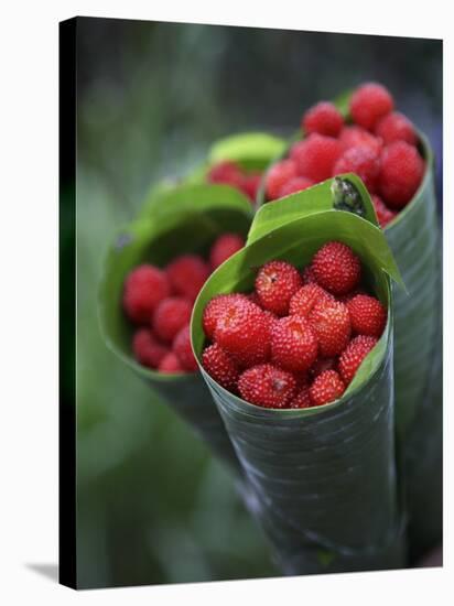 Wild Raspberries Held in the Leaf of a Porcelaine Rose, Sao Tomé and Principé-Camilla Watson-Stretched Canvas