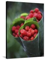 Wild Raspberries Held in the Leaf of a Porcelaine Rose, Sao Tomé and Principé-Camilla Watson-Stretched Canvas