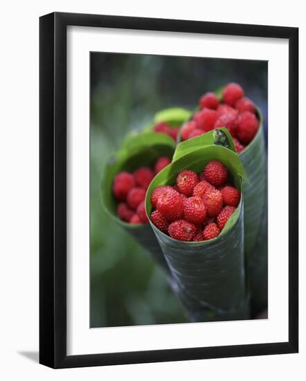 Wild Raspberries Held in the Leaf of a Porcelaine Rose, Sao Tomé and Principé-Camilla Watson-Framed Photographic Print