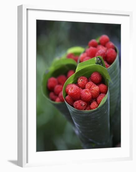 Wild Raspberries Held in the Leaf of a Porcelaine Rose, Sao Tomé and Principé-Camilla Watson-Framed Photographic Print