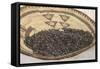 Wild Rice from the Great Lakes Area-null-Framed Stretched Canvas