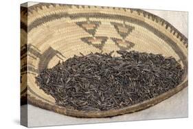 Wild Rice from the Great Lakes Area-null-Stretched Canvas