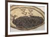 Wild Rice from the Great Lakes Area-null-Framed Giclee Print