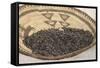 Wild Rice from the Great Lakes Area-null-Framed Stretched Canvas