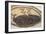 Wild Rice from the Great Lakes Area-null-Framed Giclee Print