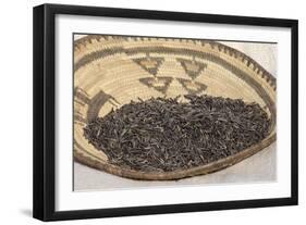 Wild Rice from the Great Lakes Area-null-Framed Giclee Print