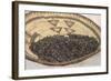 Wild Rice from the Great Lakes Area-null-Framed Giclee Print