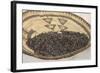 Wild Rice from the Great Lakes Area-null-Framed Giclee Print