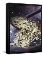 Wild Rice-Maja Smend-Framed Stretched Canvas