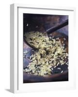 Wild Rice-Maja Smend-Framed Photographic Print