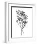 Wild Roadside Bouquet II-Emma Scarvey-Framed Art Print