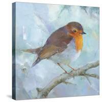 Wild Robin - Rest-Sarah Simpson-Stretched Canvas