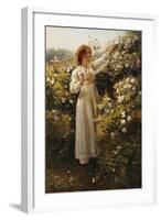 Wild Rose, 1908 (Oil on Canvas)-Robert Payton Reid-Framed Giclee Print