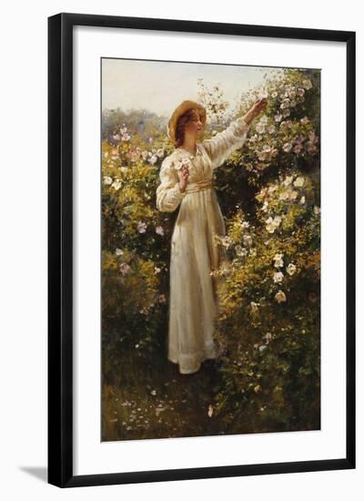 Wild Rose, 1908 (Oil on Canvas)-Robert Payton Reid-Framed Giclee Print