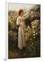 Wild Rose, 1908 (Oil on Canvas)-Robert Payton Reid-Framed Giclee Print