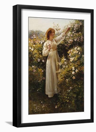 Wild Rose, 1908 (Oil on Canvas)-Robert Payton Reid-Framed Giclee Print