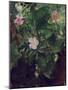 Wild Rose and Grape Vine, Study from Nature, 1871-John La Farge-Mounted Giclee Print