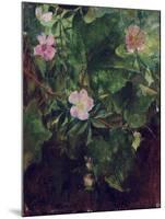 Wild Rose and Grape Vine, Study from Nature, 1871-John La Farge-Mounted Giclee Print