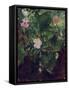 Wild Rose and Grape Vine, Study from Nature, 1871-John La Farge-Framed Stretched Canvas