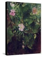 Wild Rose and Grape Vine, Study from Nature, 1871-John La Farge-Stretched Canvas