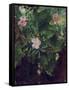 Wild Rose and Grape Vine, Study from Nature, 1871-John La Farge-Framed Stretched Canvas