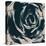 Wild Rose II-Tanuki-Stretched Canvas