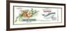 Wild Rose Salmon Can Label - Anacortes, WA-Lantern Press-Framed Premium Giclee Print