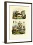 Wild Rosemary, 1833-39-null-Framed Giclee Print