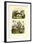 Wild Rosemary, 1833-39-null-Framed Giclee Print