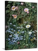 Wild Roses, Forget-Me-Nots and Daisies-Otto Franz Scholderer-Stretched Canvas
