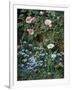 Wild Roses, Forget-Me-Nots and Daisies-Otto Franz Scholderer-Framed Giclee Print