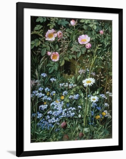 Wild Roses, Forget-Me-Nots and Daisies-Otto Franz Scholderer-Framed Giclee Print