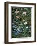 Wild Roses, Forget-Me-Nots and Daisies-Otto Franz Scholderer-Framed Giclee Print