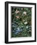 Wild Roses, Forget-Me-Nots and Daisies-Otto Franz Scholderer-Framed Giclee Print