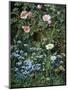 Wild Roses, Forget-Me-Nots and Daisies-Otto Franz Scholderer-Mounted Giclee Print