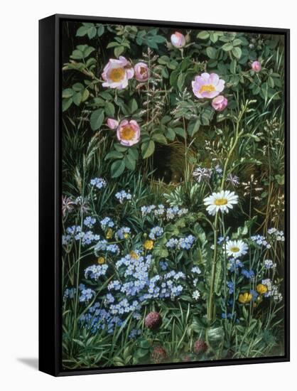 Wild Roses, Forget-Me-Nots and Daisies-Otto Franz Scholderer-Framed Stretched Canvas