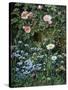 Wild Roses, Forget-Me-Nots and Daisies-Otto Franz Scholderer-Stretched Canvas