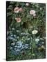 Wild Roses, Forget-Me-Nots and Daisies-Otto Franz Scholderer-Stretched Canvas