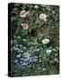 Wild Roses, Forget-Me-Nots and Daisies-Otto Franz Scholderer-Stretched Canvas