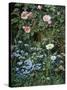 Wild Roses, Forget-Me-Nots and Daisies-Otto Franz Scholderer-Stretched Canvas