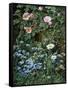 Wild Roses, Forget-Me-Nots and Daisies-Otto Franz Scholderer-Framed Stretched Canvas