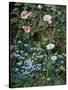 Wild Roses, Forget-Me-Nots and Daisies-Otto Franz Scholderer-Stretched Canvas